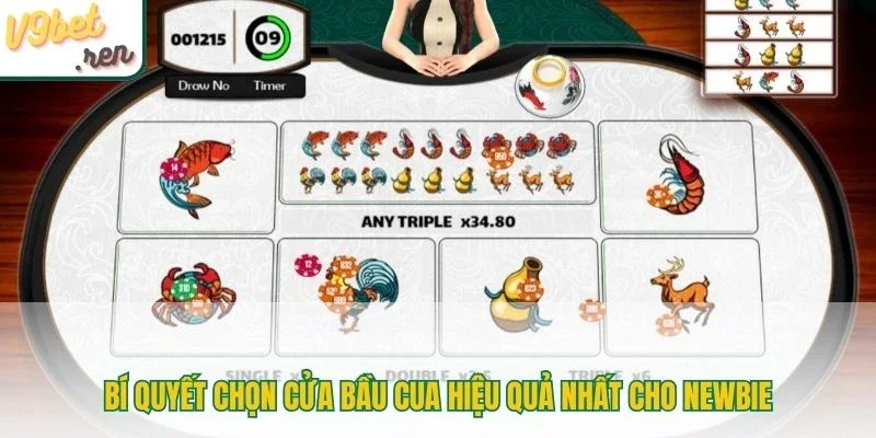 Bí quyết chọn cửa bầu cua hiệu quả nhất cho newbie