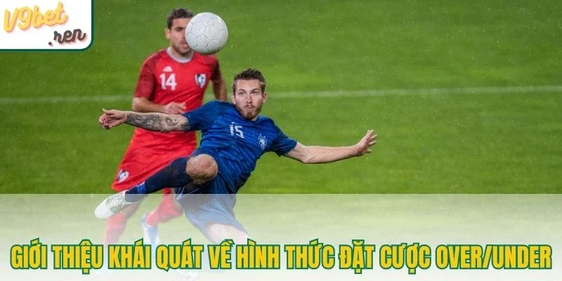Giới thiệu khái quát về hình thức đặt cược Over/Under
