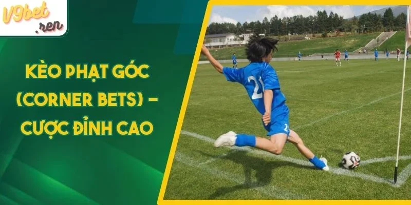 Bí kíp đặt kèo chuẩn xác, hội viên dễ ăn lớn