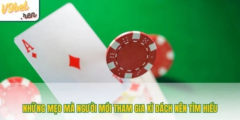 Những mẹo mà người mới tham gia xì dách nên tìm hiểu