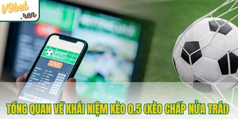 Tổng quan về khái niệm kèo 0.5 (kèo chấp nửa trái) 